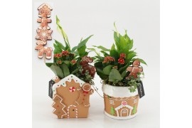 Arrangementen kerst XMAS-25246 Kerst creatie 3 pp