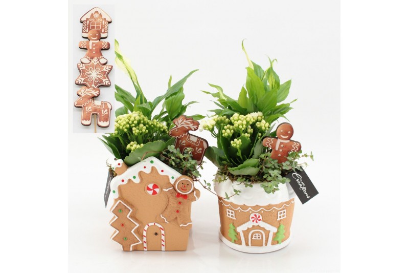 Arrangementen kerst XMAS-25247 Kerst creatie 3 pp 