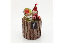 Arrangementen hippeastrum HICR-2528R Kerst Amaryllis 1 pp