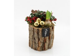 Arrangementen tuinplanten ODXM-2501 Xmas Outdoor 2 pp