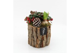 Arrangementen tuinplanten ODXM-2524 Xmas Outdoor 2 pp
