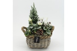 Arrangementen tuinplanten ODXM-2544 Xmas Outdoor 3 pp