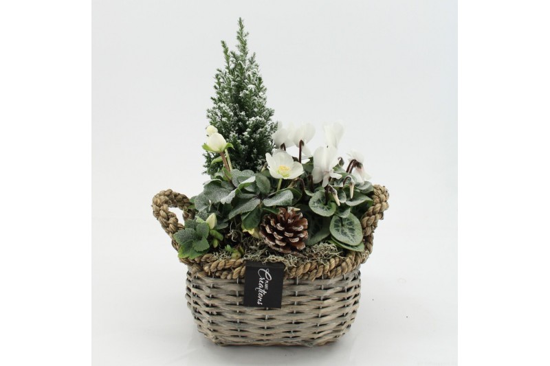 Arrangementen tuinplanten ODXM-2544 Xmas Outdoor 3 pp 