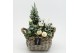 Arrangementen tuinplanten ODXM-2521 Xmas Outdoor 3 pp 