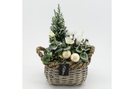 Arrangementen tuinplanten ODXM-2521 Xmas Outdoor 3 pp