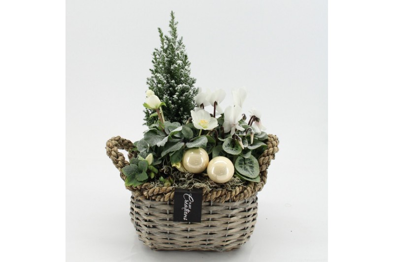 Arrangementen tuinplanten ODXM-2521 Xmas Outdoor 3 pp 