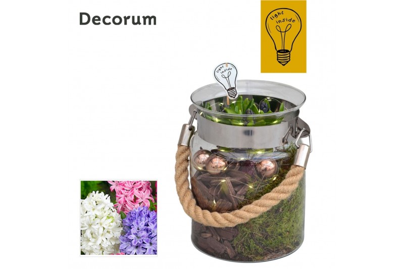 Arrangementen hyacinthus Hyacint Groot Glas met Touw HL43842 [CHRISTMA 