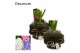 Arrangementen hyacinthus Hyacint Bont Mini HL15832 [PURE] 1 pp 30 bl.  