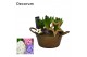 Arrangementen hyacinthus Hyacint Golden Bol en émail HL15512 [SHINY &  