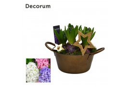 Arrangementen hyacinthus Hyacint Golden Bol en émail HL15512 [SHINY & 