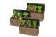 Arrangementen hyacinthus Hyacint Golden Giftbox HL14952 [SHINY & SPARK 