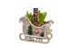 Arrangementen hyacinthus Hyacint Sleigh Christmas HL14036WP [COZY] 2 p 
