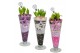 Arrangementen hyacinthus Hyacint Lincoln HL45012 [CHRISTMAS LIGHT] 3 p 