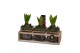 Arrangementen hyacinthus Hyacint TriPlant HL15070 [PURE] 3 pp 90 bl. 3 