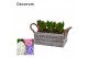 Arrangementen hyacinthus Hyacint Twigs Box HL15790 [PURE] 6 pp 