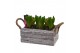 Arrangementen hyacinthus Hyacint Twigs Box HL15790 [PURE] 6 pp 