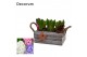 Arrangementen hyacinthus Hyacint Twigs Box HL15792 [PURE] 6 pp 