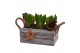 Arrangementen hyacinthus Hyacint Twigs Box HL15792 [PURE] 6 pp 