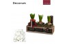Arrangementen hyacinthus Hyacint TriPlant HL15076WP [COZY] 3 pp 90 bl.