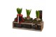 Arrangementen hyacinthus Hyacint TriPlant HL15076WP [COZY] 3 pp 90 bl. 