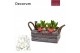 Arrangementen hyacinthus Hyacint Twigs Box HL15796WP [COZY] 6 pp 