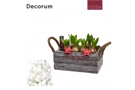 Arrangementen hyacinthus Hyacint Twigs Box HL15796WP [COZY] 6 pp