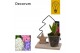 Arrangementen hyacinthus Hyacint Tree with Light HL44492 [CHRISTMAS LI 