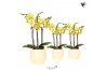 Phalaenopsis multiflora geel Kolibri Orchids Phalaenopsis yellow 3spik