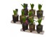 Arrangementen hyacinthus Hyacint Triple Glass on Wood HL13720 [LOVELY  