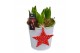 Arrangementen hyacinthus Hyacint White Bucket HL16586WP [COZY] 3 pp 75 