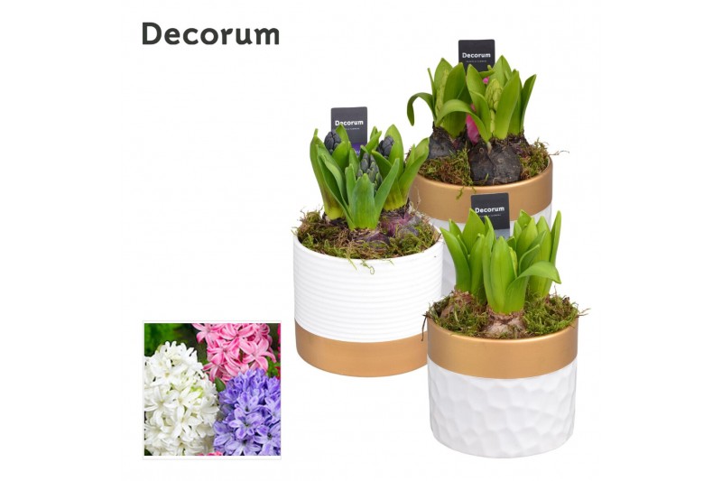 Arrangementen hyacinthus Hyacint Wit Goud Keramiek HL13220 [PURE] 3 pp 