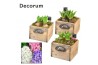 Arrangementen hyacinthus Hyacint Wooden Drawer HL10751 [PURE] 3 pp 75 