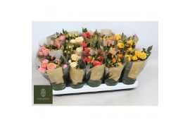 Rosa kordana grande mix Rosa Kordana Grande Mix (Glitter) 6 bl.