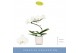 Phalaenopsis wit Balletto Wing 1 spike in Lazio White 9 bl. 1 tak/plnt 