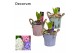 Arrangementen hyacinthus Hyacint Bucket Mini HL10772 [LOVELY COLORS] 1 