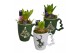 Arrangementen hyacinthus Hyacint Christmas Mug HL11312 [PURE] 1 pp 30  