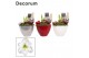 Hippeastrum Wit 2 Knop Faja KERST (Decorum) 