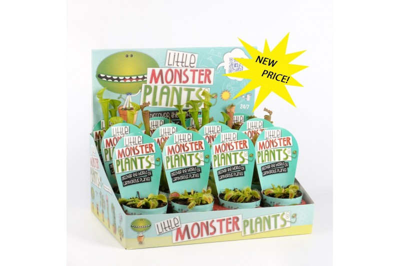 Vleesetende planten Little Monster Plants in Dislaydoos 