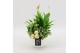 Arrangementen kamerplanten BAXM-2508W Xmas Fundamentals 3 pp 
