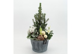 Arrangementen tuinplanten ODXM-2523 Xmas Outdoor 4 pp