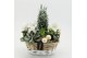 Arrangementen tuinplanten ODXM-2516 Xmas Outdoor 4 pp 