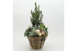 Arrangementen tuinplanten ODXM-2520 Xmas Outdoor 5 pp