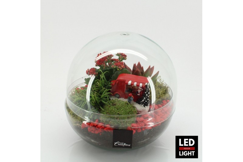 Arrangementen kerst XMAS-25218LED Kerst creatie terrarium 3 pp 