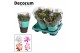 Schlumbergera mix QUATTROLORE - Decorum 70 bl. 