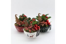 Arrangementen kerst XMAS-25021M Kerst creatie 2 pp