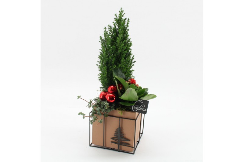 Arrangementen kerst XMAS-25039 Kerst creatie 3 pp 