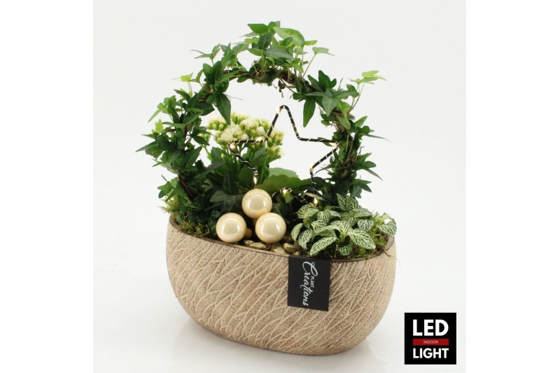 Arrangementen kerst XMAS-25271LED Kerst creatie 3 pp 