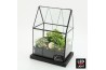Arrangementen kerst XMAS-25221LED Kerst creatie terrarium 3 pp