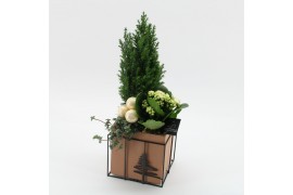 Arrangementen kerst XMAS-25072 Kerst creatie 3 pp