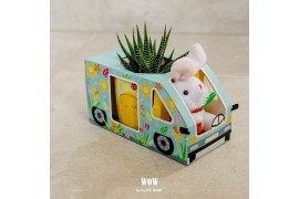 Arrangementen succulenten WOW Succulent, Mug and bunny1 pp
